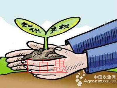 2019年中央一號文件：加強農業領域知識產權創造與